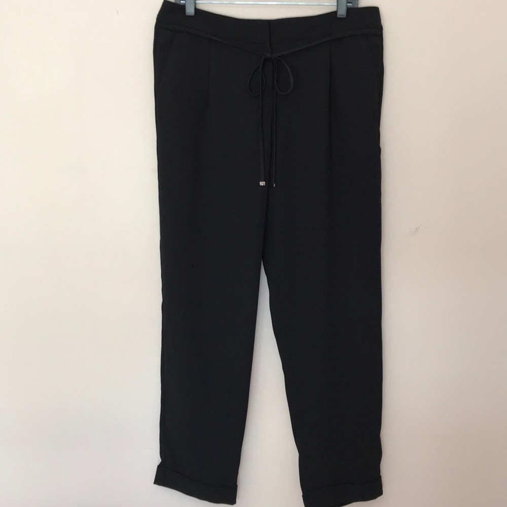 The Limited Dress Pants